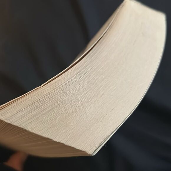 BURNED book by Ellen Hopkins - Picture 3 of 3